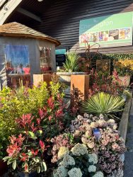 Visual Merchandising Consultancy For Chessington Garden Centre