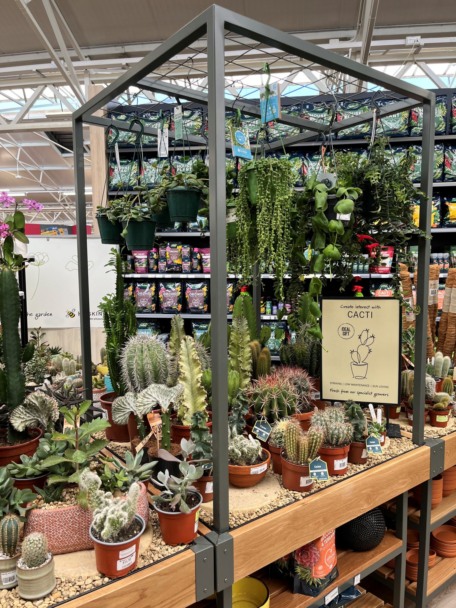 Haskins Garden Centre West End Southampton Visual Merchandising 