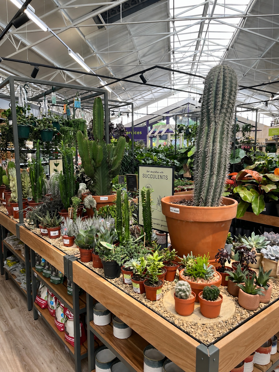 Haskins Garden Centre West End Southampton Visual Merchandising 